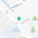 사파동248 이미지