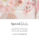 블루밍클로젯