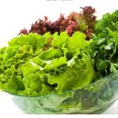 밥대장술대장 이미지