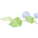 차이공방 이미지