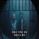 바바포레스트 이미지