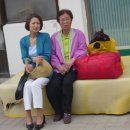 복흥 버스정류장 이미지