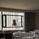 아리아휘트니스 이미지