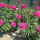 복주여자중학교 이미지