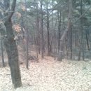 계양산산림욕장(장미원) 이미지