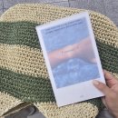 (주)인풋 | 2024 W27 인풋 리뷰