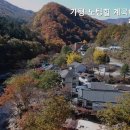 가평노팅힐계곡애견펜션 이미지