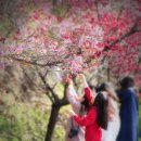 오드 이미지