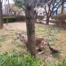 우솔동물병원 이미지