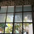 경아아구찜 이미지