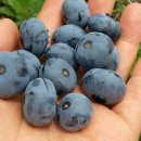 장터슈퍼 이미지