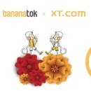 엑스티엘