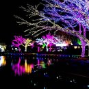 거북공원 이미지