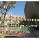 비상고시