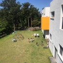 제주아이니 이미지