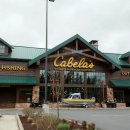 팜스프링 이미지