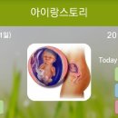 김밥천국(풍호) 네이버블로그