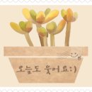광덕커피
