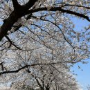 미건농약사 이미지