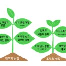리미떼두두 사이즈 팁과 2026년 여름 프리오더 일정 정리