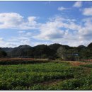 스트로마톨라이트 이미지