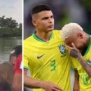 비둘기한국@ 이미지