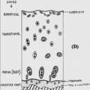 아이사랑동물약국 이미지