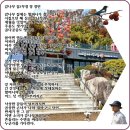 감나무집 이미지