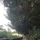 세명2농장 이미지