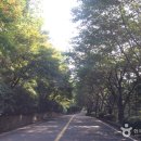 김포 SEASIDE 컨트리클럽 이미지