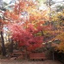 화왕산오토캠핑장 이미지