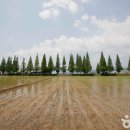 빗돌배기마을(송등) 이미지