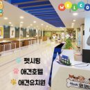 상신리코코네 이미지