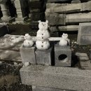 신신항공 이미지