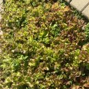 서강유치원 이미지