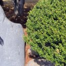 금남보건지소 이미지