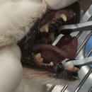 창생동물병원 이미지