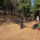 산수유 둘레길 이미지