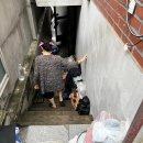 ‘Where would I go?’: Seoul’s underground dwellers 반지하 거주자 어디로 가야할까? 이미지