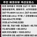 에코이뷰 이미지