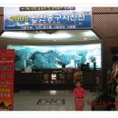 한중문화관 이미지