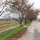 한우명가 백제 이미지