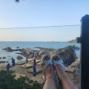 쉬다가개 애견호텔유치원 이미지