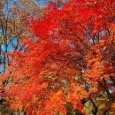 영일메드 이미지