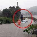 표선리-27 이미지