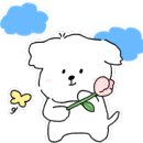세일당구장 이미지