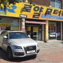 썬모터스 이미지