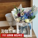 자뎅드베르