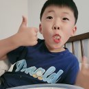 제주감귤농업협동조합위미지점 | '제주 하우스감귤' 끊을수있을까요(제주위미감귤, 문주왕,내돈내산)