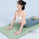 요가 이미지